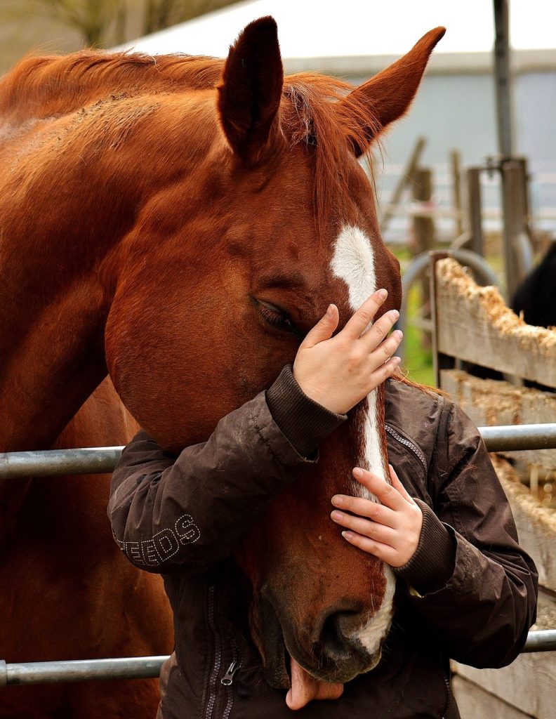 Kind streichelt Pferd im Stall